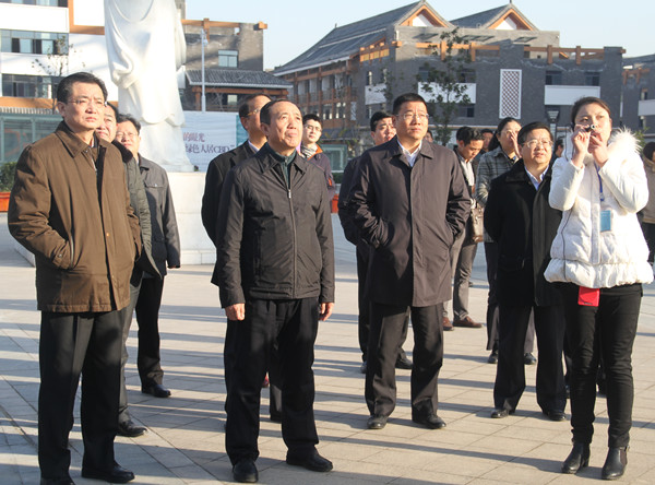 安徽政协主席王明方考察康美(亳州)中药城