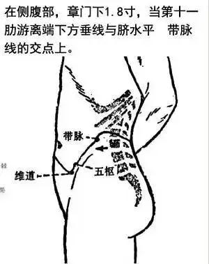 3,刮带脉