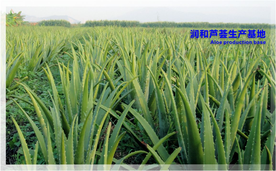 润和实业