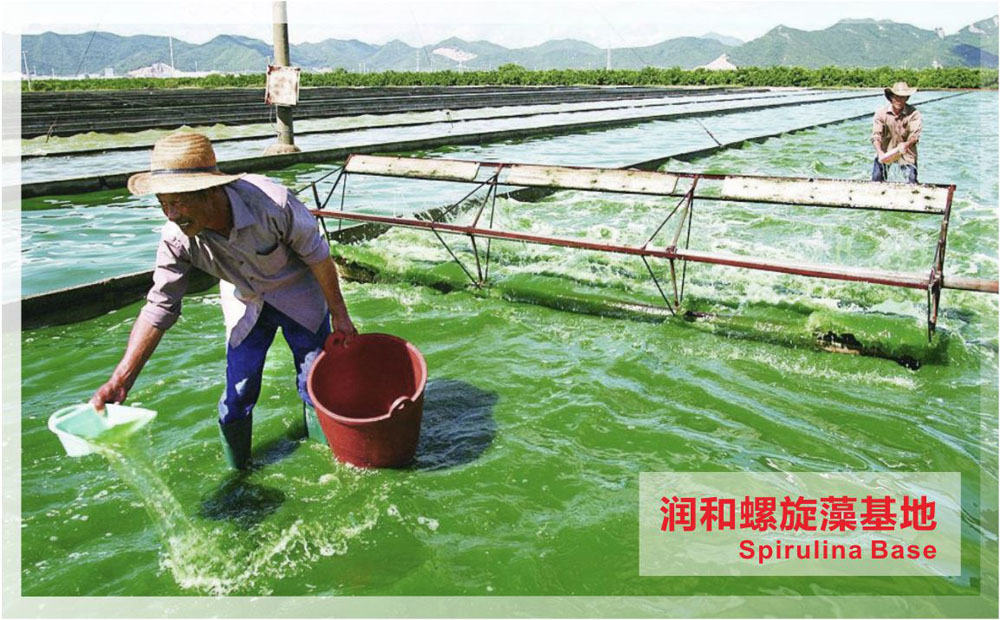 润和实业