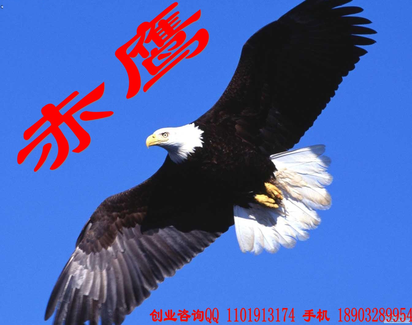 康美药业|直销奖金制度|康美药业股份有限公司|康美直销