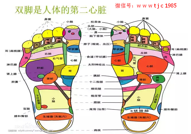 隆力奇魔力鞋艾力沛多少钱一双？真的有保健效果吗？