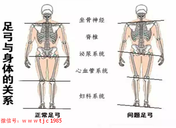 隆力奇魔力鞋艾力沛多少钱一双？真的有保健效果吗？