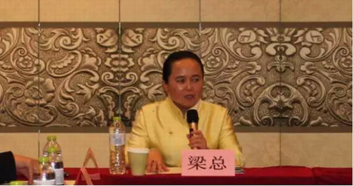 安然集团董事长_特种兵安然