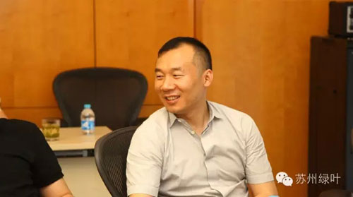 绿叶老总_绿叶图片手机壁纸