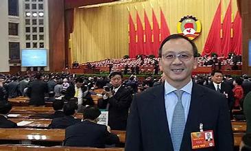 无限极董事长_罗小黑战记无限图片(2)