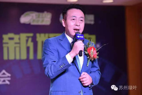 绿叶老总_绿叶图片手机壁纸