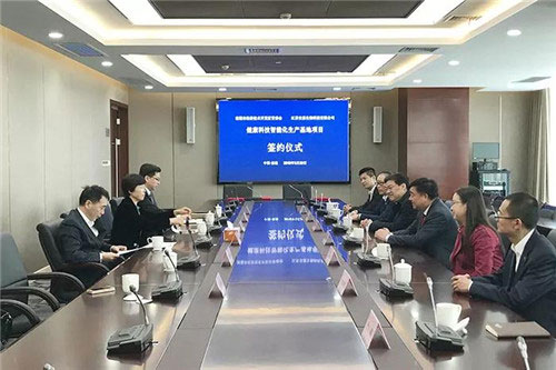安惠国际老总_国际象棋(3)