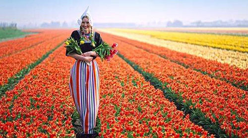 к 5000к˿֮