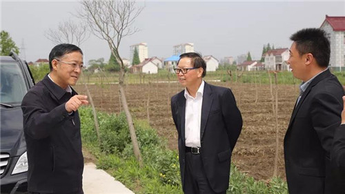 隆力奇徐之伟到栟茶镇三星村考察新农村建设