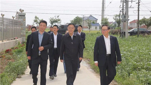 隆力奇徐之伟到栟茶镇三星村考察新农村建设