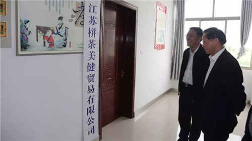 隆力奇徐之伟到栟茶镇三星村考察新农村建设
