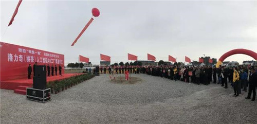 隆力奇徐之伟到栟茶镇三星村考察新农村建设