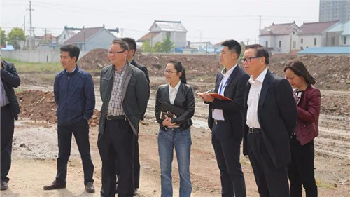 隆力奇徐之伟到栟茶镇三星村考察新农村建设