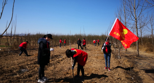 改善生存环境 太阳神经销商积极参与植树活动