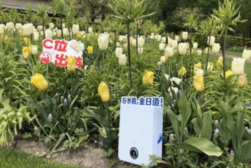 金日欧洲之旅DAY3:徜徉花海 尽享缤纷盛宴