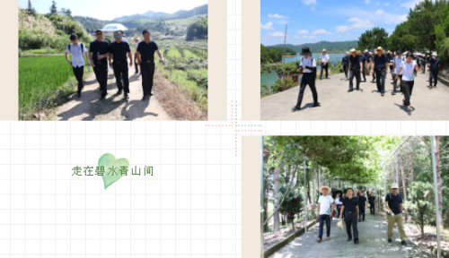 安发举行2020年度年中工作总结暨团建活动插图15
