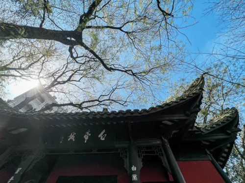 领略秀丽山河 无限极星乐营在长江三峡启航插图9